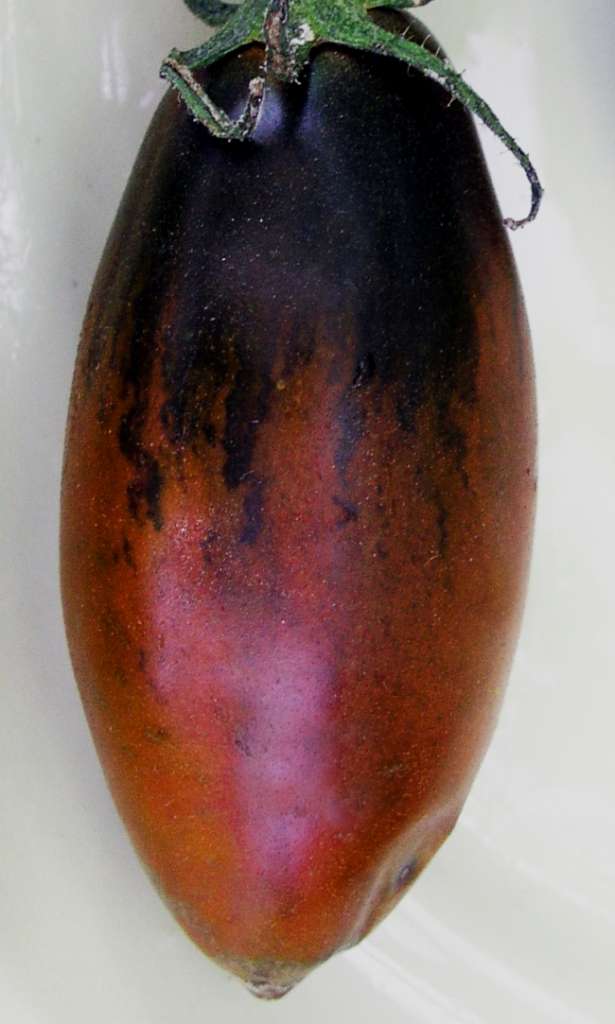 Черная сосулька - Сорта черных томатов для открытого грунта – ТОП 5 вкусных