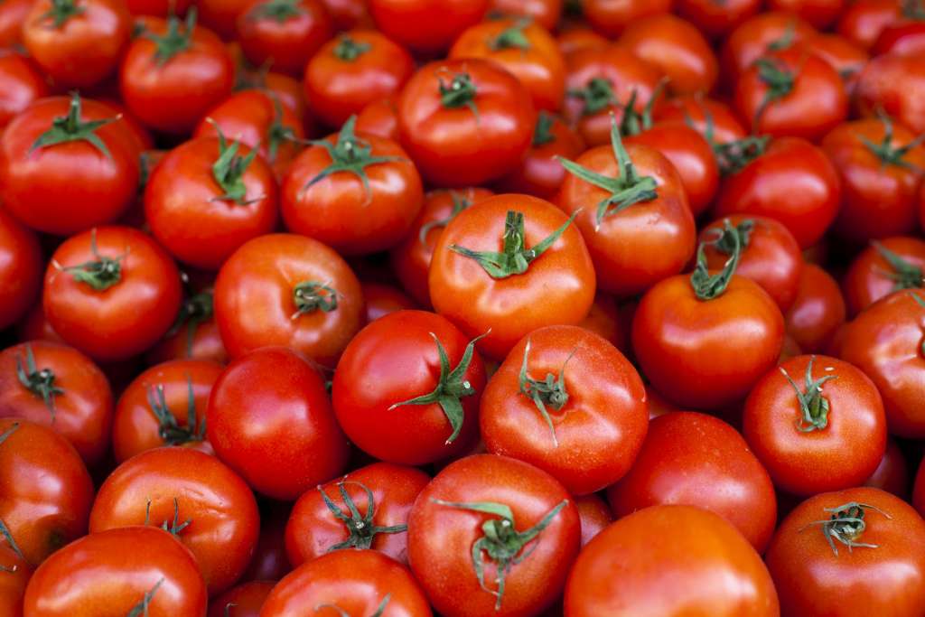 Как точно не надо делать – 8 частых ошибок при выращивании томатов