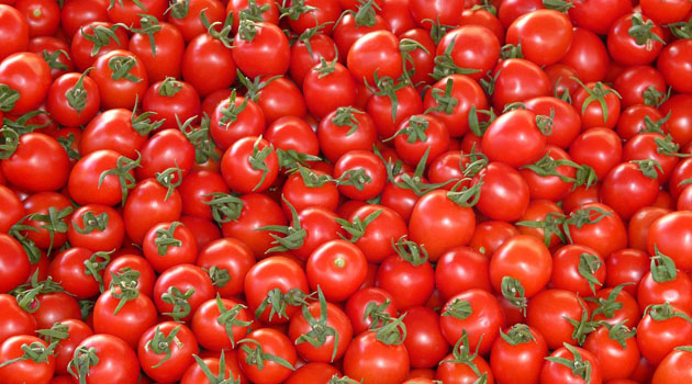 Советы для помидоров от агрономов - 3 главных правила вкусного урожая