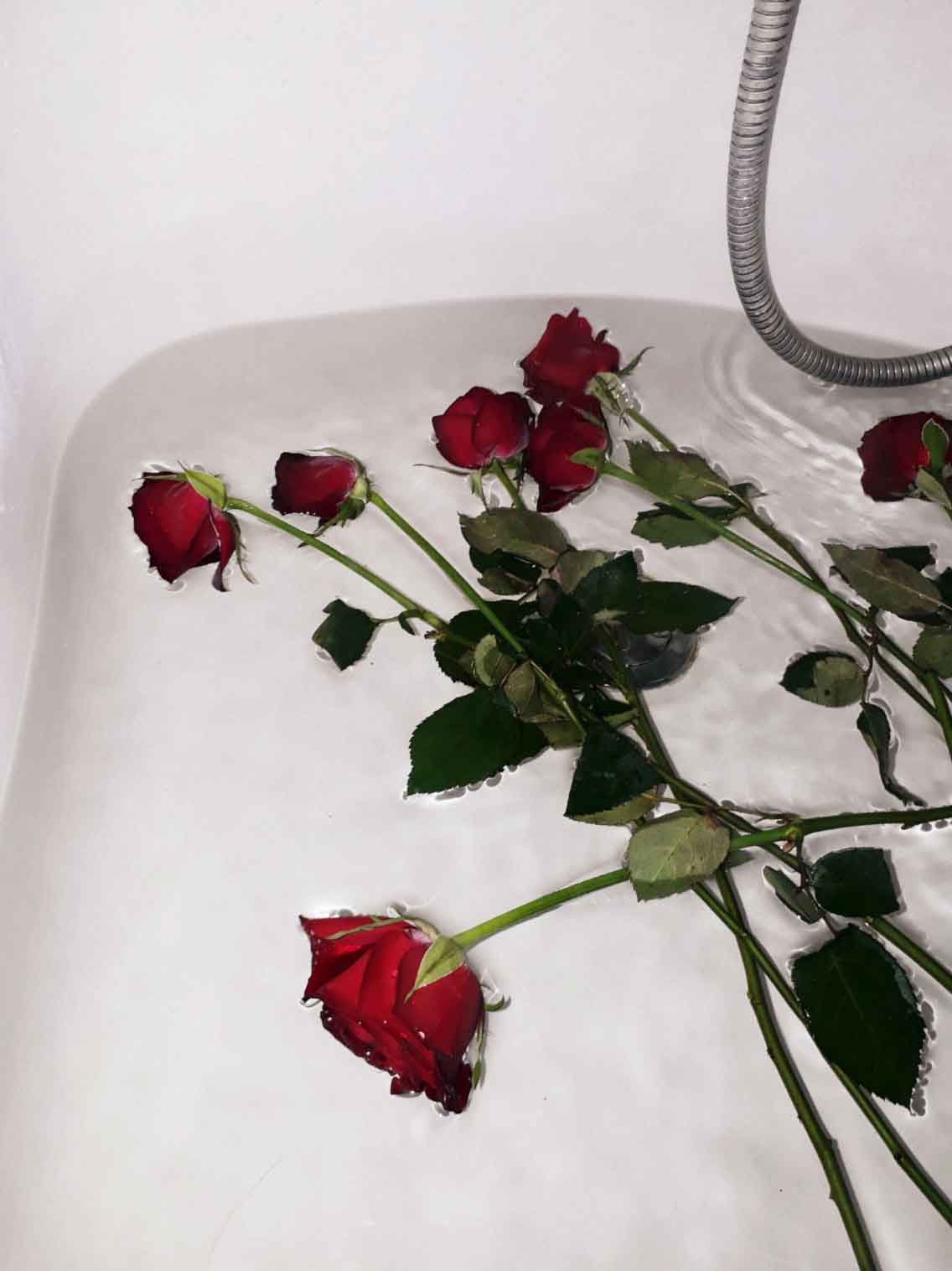 Как спасти розы в вазе. Розы в ванной. Розы в холодную ванну. Розы подвяли. Реанимировать розы в ванной.
